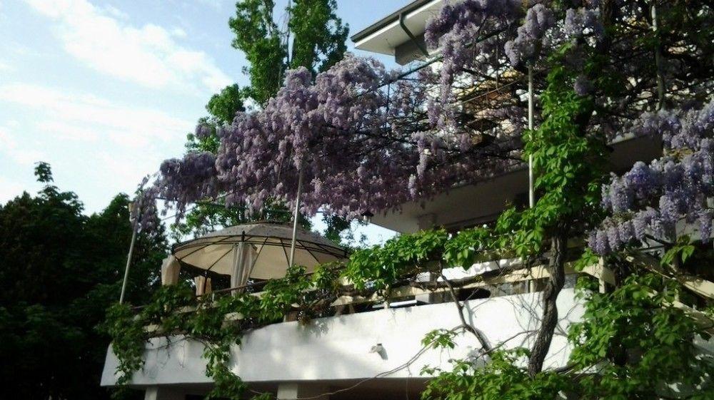 Hotel Ristorante Sole Muggia Exterior foto