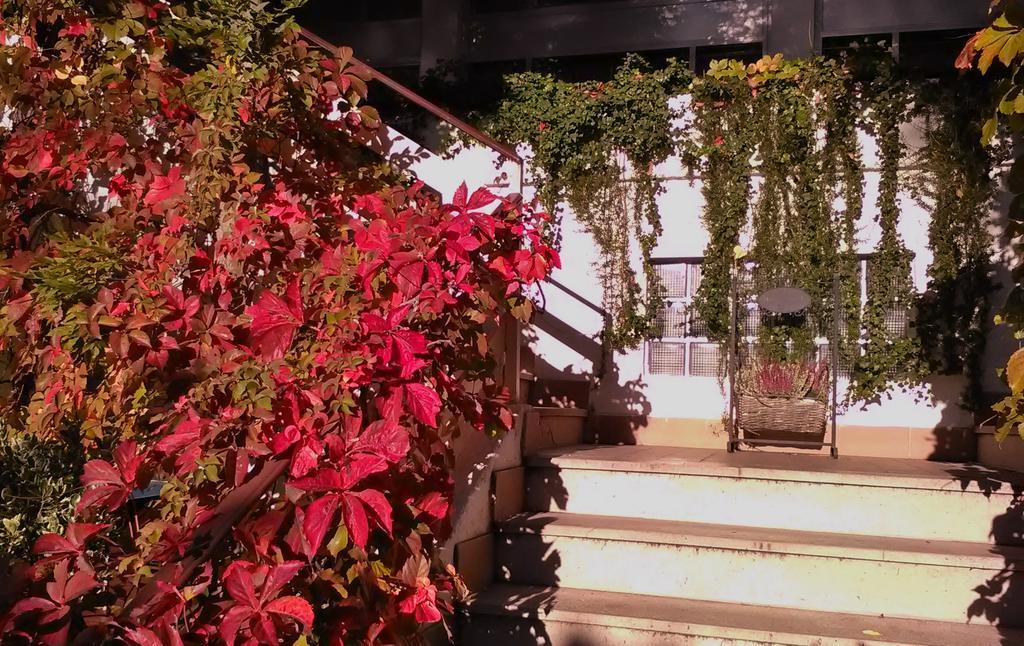 Hotel Ristorante Sole Muggia Exterior foto
